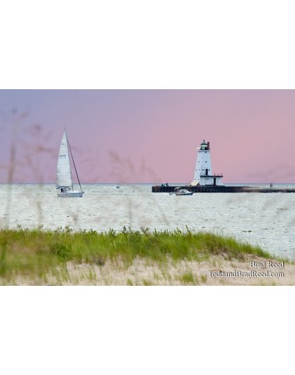 Badger Going Out in Storm (0813)