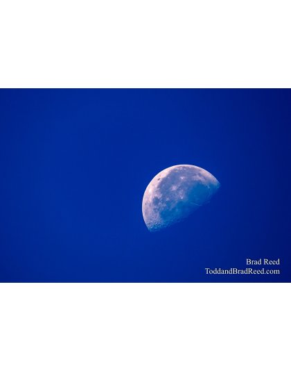 Hamlin Lake Off Pontoon Boat (0930)