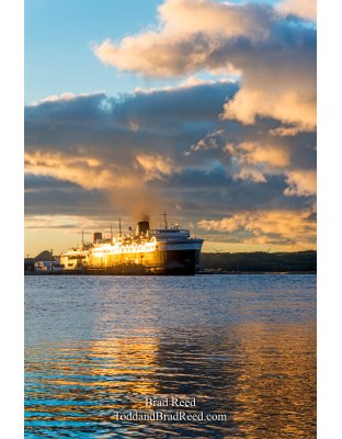 Badger at Sunrise From Ferry Street (0974)