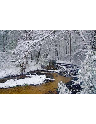 Tuesdays With Todd and Brad Reed (0996)