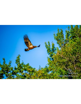 Hamlin Lake Off Pontoon Boat (1003)
