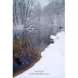 Tuesdays With Todd and Brad Reed (1019)