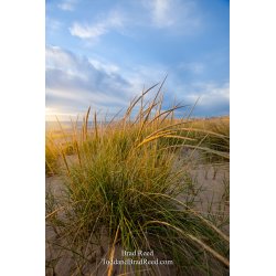 Ludington State Park Workshop (1053)