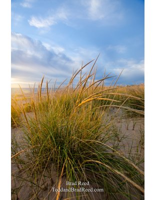 Ludington State Park Workshop (1053)
