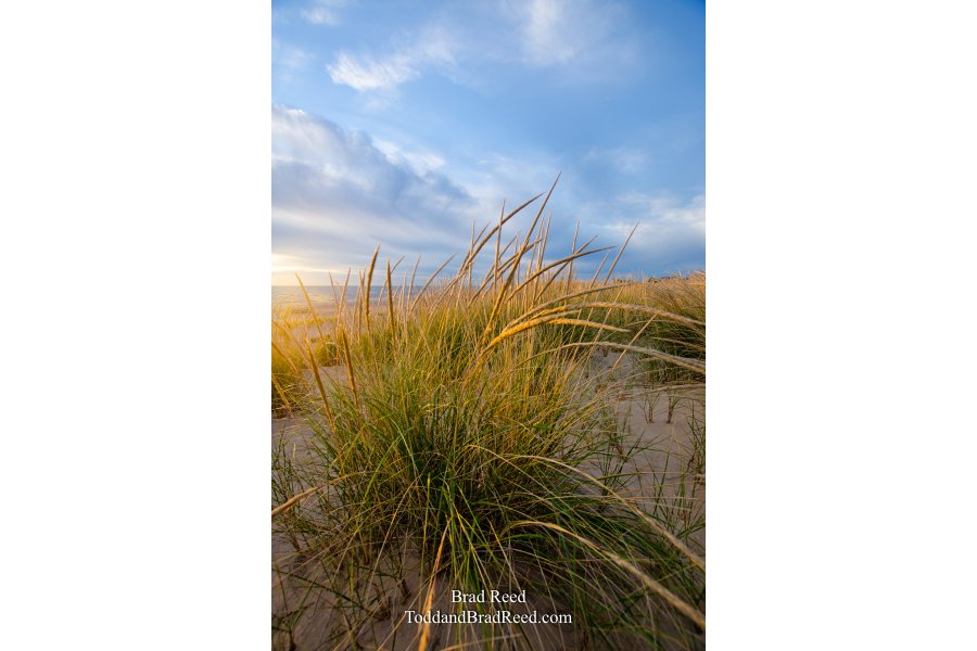 Ludington State Park Workshop (1053)