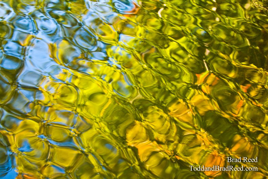 Water Colors