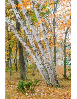 Legends Ranch (1110)