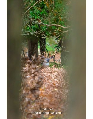 Legends Ranch (1131)