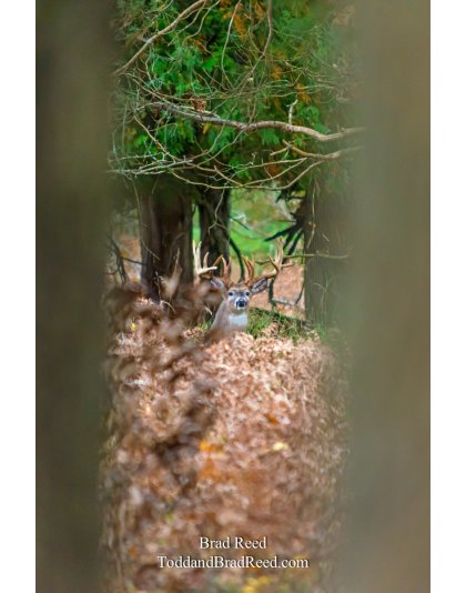 Legends Ranch (1131)