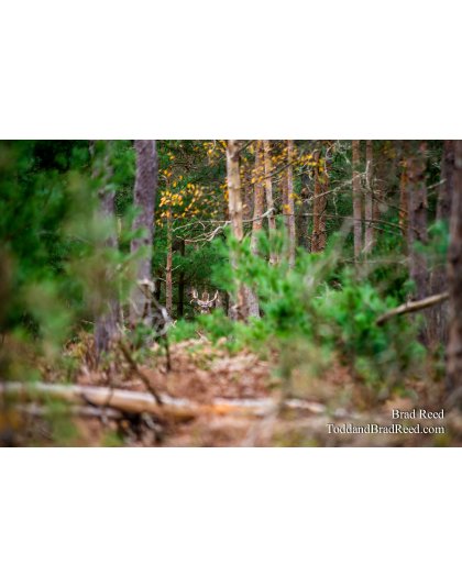 Legends Ranch (1138)