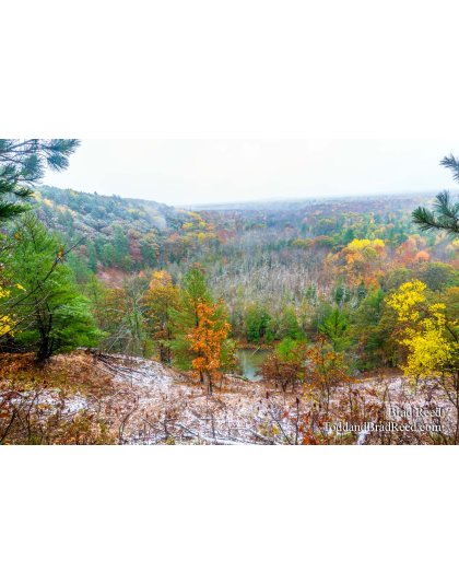 Buckley Rollway (1145)