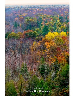 Buckley Rollway (1153)