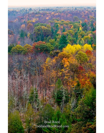 Buckley Rollway (1153)