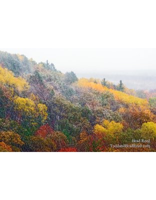 Buckley Rollway (1157)