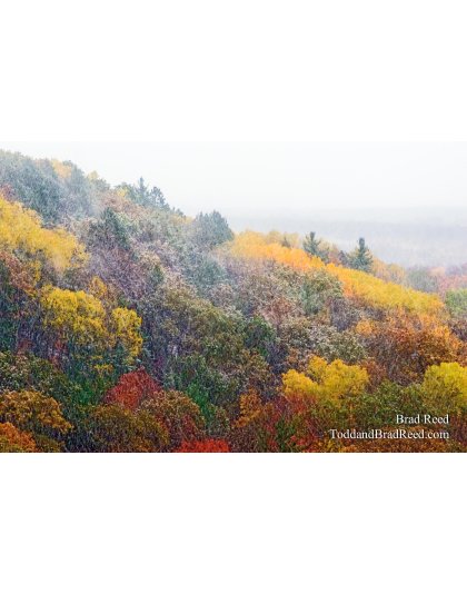 Buckley Rollway (1157)