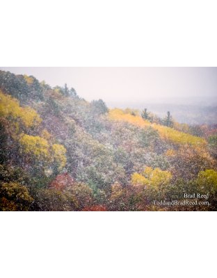 Buckley Rollway (1158)