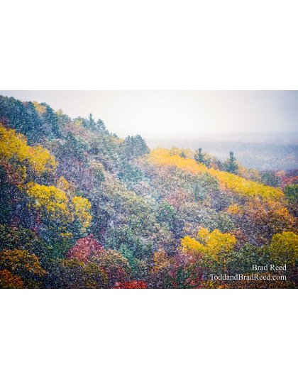 Buckley Rollway (1159)