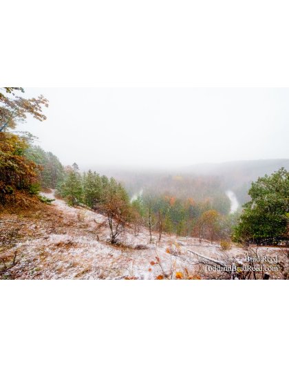 Buckley Rollway (1171)