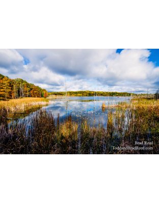 Sleeping Bear Area (1228)