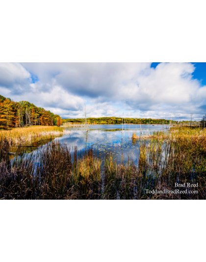 Sleeping Bear Area (1228)