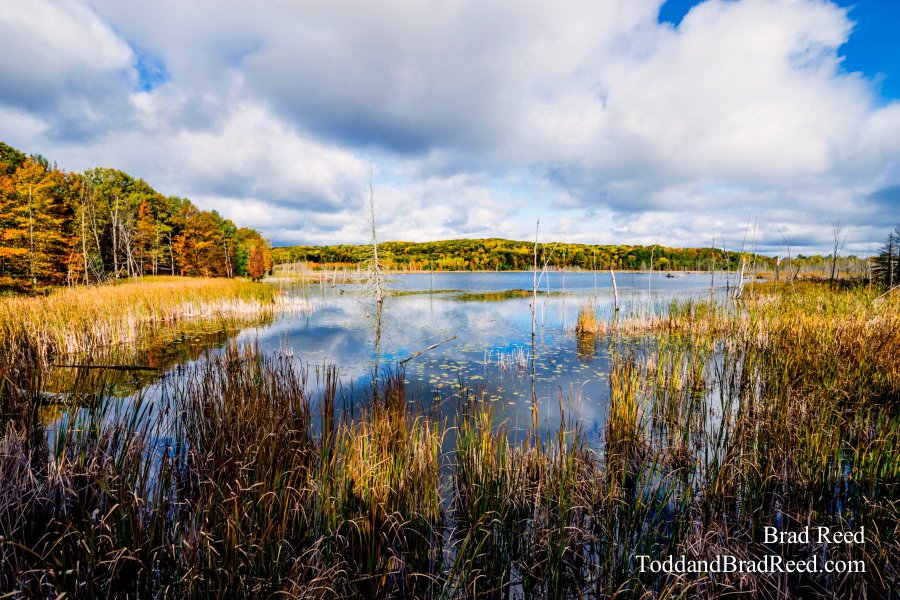 Sleeping Bear Area (1228)