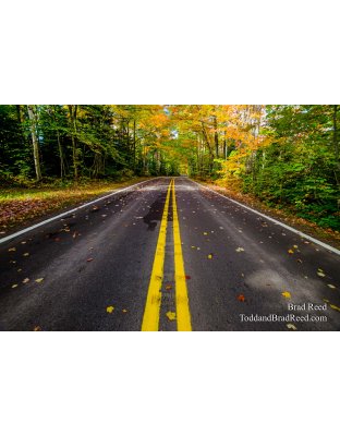 Fall Color on US 41 Near Copper Harbor (1405)