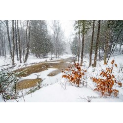 Lincoln River in Front of Rods Shack (1661)