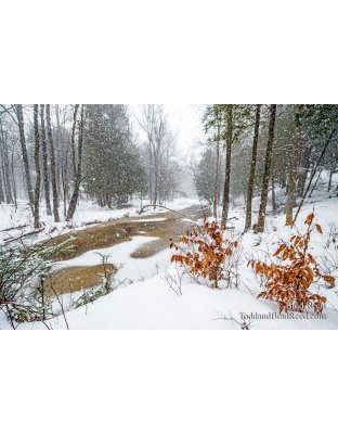 Lincoln River in Front of Rods Shack (1661)