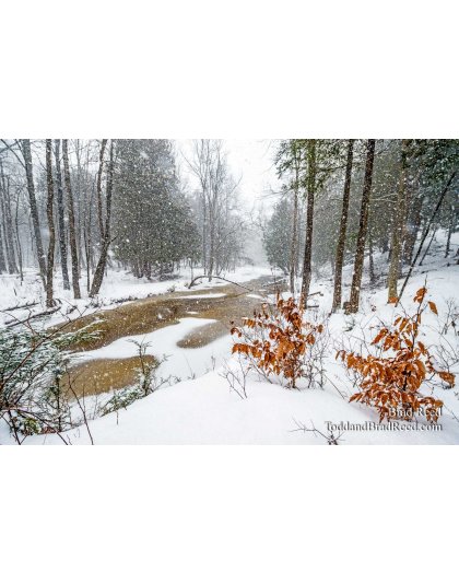 Lincoln River in Front of Rods Shack (1661)