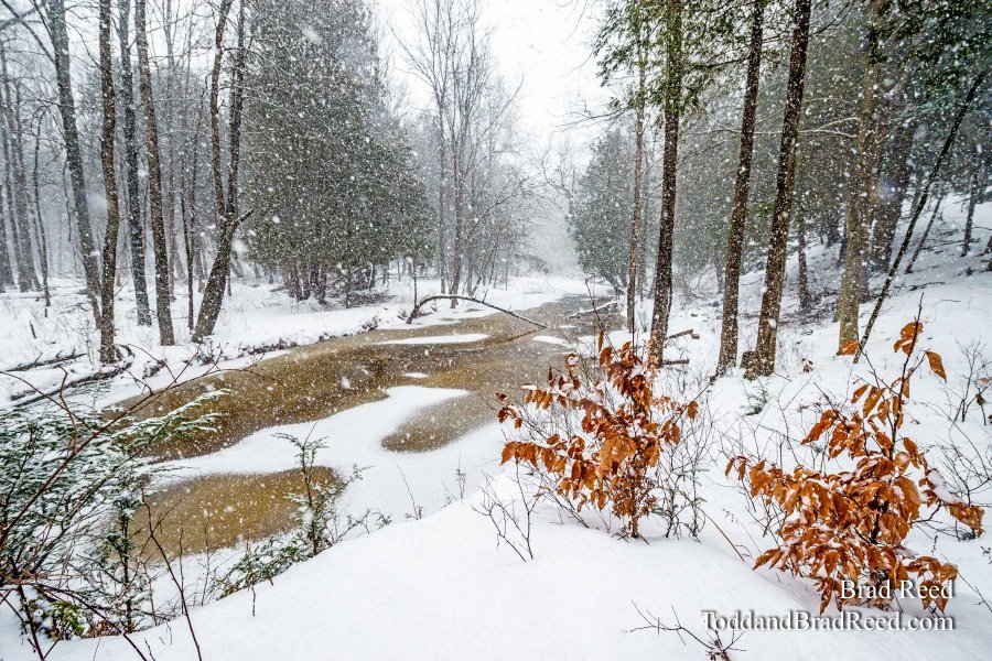 Lincoln River in Front of Rods Shack (1661)