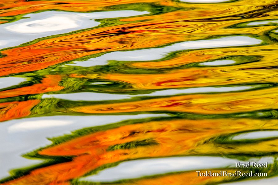 Ordway Reflections