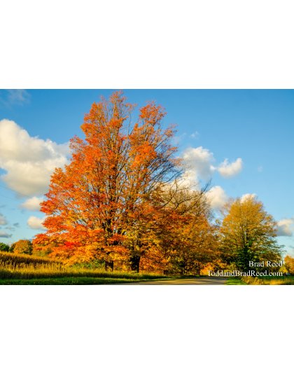 PM River and Conrad Road (1796)