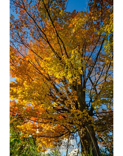 PM River and Conrad Road (1826)