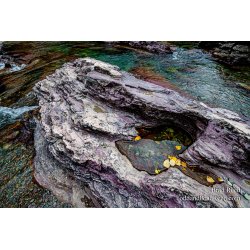 Glacier Pool