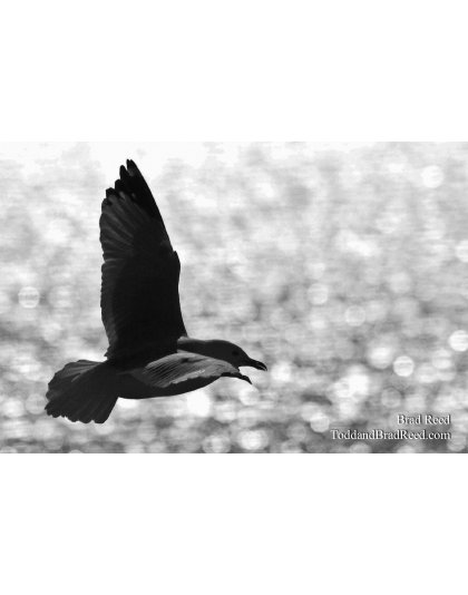 Ludington Beach R (2040)