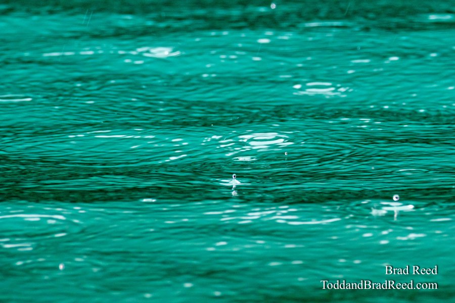 Lake Louise Water Droplets