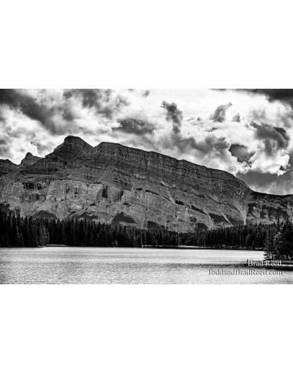 Heaven's Come to Life