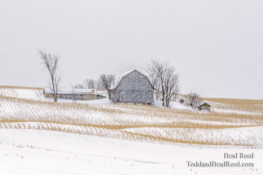 Barn Between Traverse City and Sleeping Bear (2260)