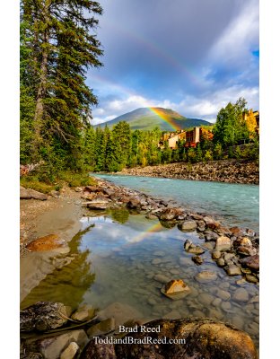 Looking to the Skies