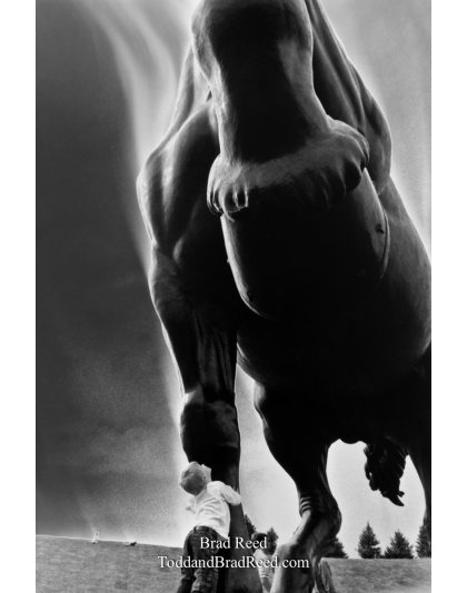 DaVincis Dream (2378)