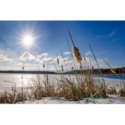 Wednesday Oceana County (2781)
