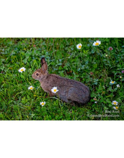 August 28 2014 Isle Royal (3072)