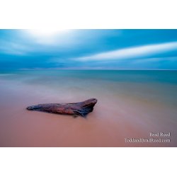 Workshop at Ludington State Park (3404)