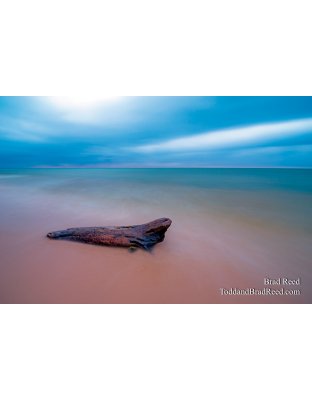 Workshop at Ludington State Park (3404)