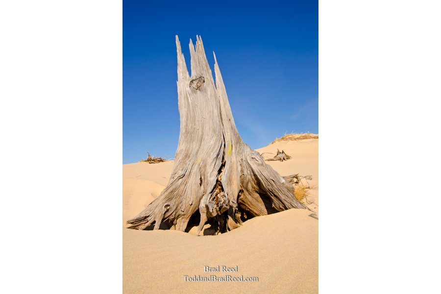 Mac Woods Silver Lake Dunes (3457)