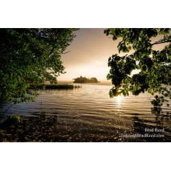 Ludington State Park (3501)