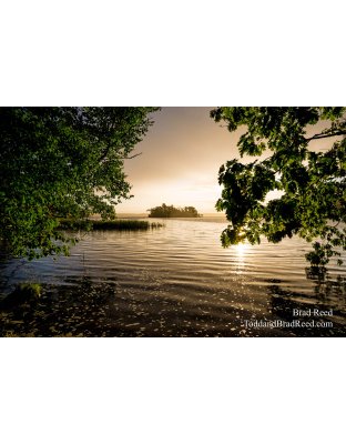 Ludington State Park (3501)