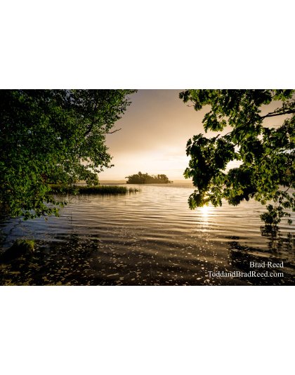 Ludington State Park (3501)