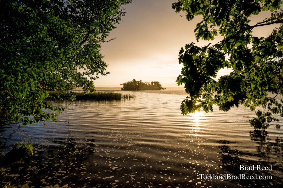 Ludington State Park (3501)