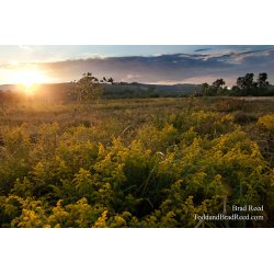 Sleeping Bear Dunes (3506)